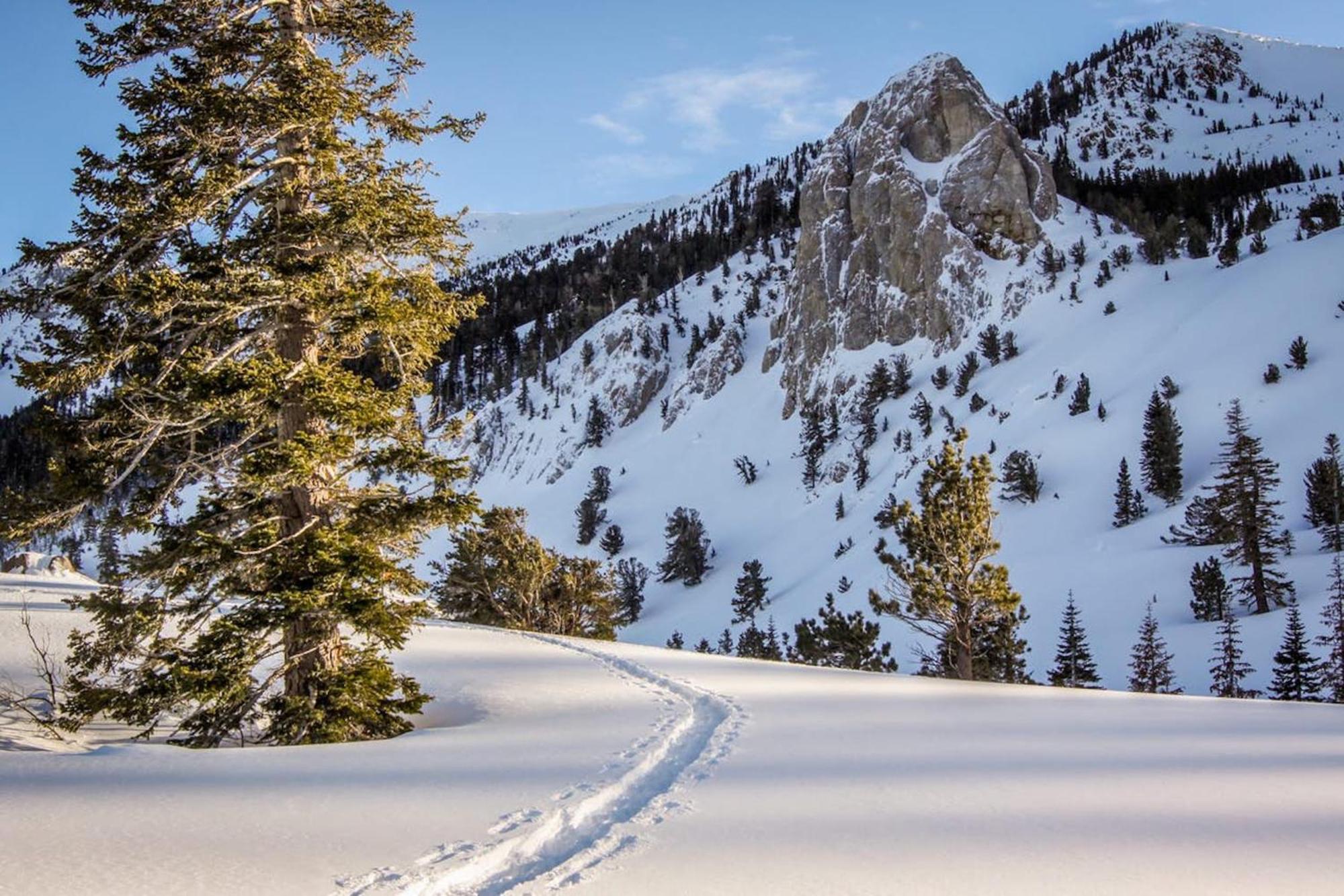 Crestview Villa Mammoth Lakes Bilik gambar